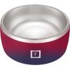 imageIRON FLASK Dog Bowl  32 Oz Stainless Steel NonSlip Rubber Bottom Durable Pet Food and Water Cats Feed Dark RainbowDark Rainbow