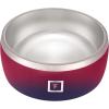 imageIRON FLASK Dog Bowl  32 Oz Stainless Steel NonSlip Rubber Bottom Durable Pet Food and Water Cats Feed Dark RainbowDark Rainbow