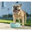 imageIRON FLASK Dog Bowl  32 Oz Stainless Steel NonSlip Rubber Bottom Durable Pet Food and Water Cats Feed Dark RainbowDark Rainbow