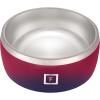 imageIRON FLASK Dog Bowl  32 Oz Stainless Steel NonSlip Rubber Bottom Durable Pet Food and Water Cats Feed Dark RainbowDark Rainbow