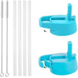 imageIRON FLASK Carabiner Straw Lid for Wide Mouth Insulated Sports Water Bottles Simple BPA Free 2 Lids 4 Straws 2 Cleaning BrushesAquamarine