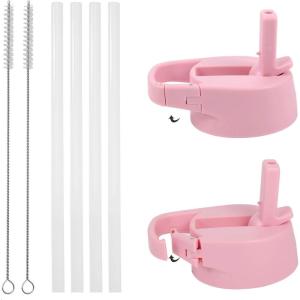 imageIRON FLASK Carabiner Straw Lid for Wide Mouth Insulated Sports Water Bottles Simple BPA Free 2 Lids 4 Straws 2 Cleaning BrushesRose