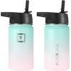 imageIRON FLASK Camping ampamp Hiking Hydration Flask with 3 Lids  Stainless Steel Double Walled ampamp Vacuum Insulated Water Bottle  Leak Proof ampamp BPA Free Dark Rainbow Straw  40 ozBubble Gum