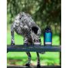 imageIRON FLASK Portable Dog Water Bottle ampamp Bowl  AllinOne Travel Accessories Pet Food ampamp Liquids for Car Hiking Camping  LeakProof Double Walled Insulated  32 oz 2 Dog Bowls  Midnight BlackMidnight Black