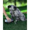 imageIRON FLASK Portable Dog Water Bottle ampamp Bowl  AllinOne Travel Accessories Pet Food ampamp Liquids for Car Hiking Camping  LeakProof Double Walled Insulated  32 oz 2 Dog Bowls  Midnight BlackDark Night